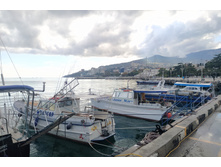 IMG 20251001 150603.jpg