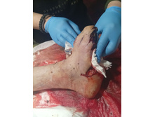 Photo 2025-11-26 15-46-10.jpg