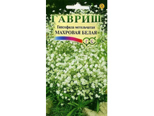 ��������� �������. �������� ����� // ������