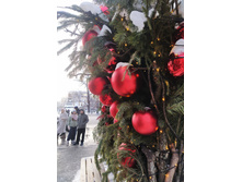 IMG 20260108 131709.jpg