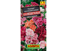 ������� ��������������� ��������, ����� // ������.jpg