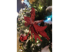 IMG 20260108 182912.jpg