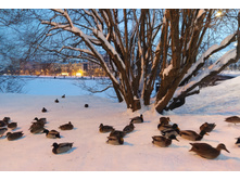 IMG 20260106 165119.jpg