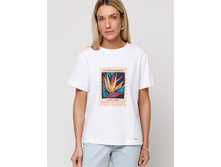 50�, 52� 1640���.jpeg