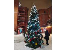 IMG 20260108 184038.jpg