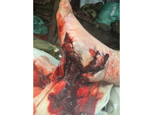 Photo 2025-12-15 23-26-11.jpg