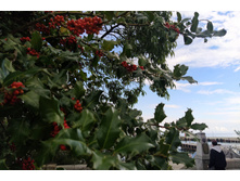 IMG 20251001 154226.jpg