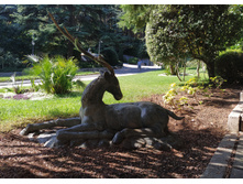 IMG 20251002 123816.jpg