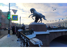 IMG 20260108 130404.jpg