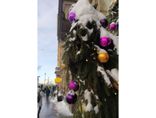 IMG 20260108 130946.jpg