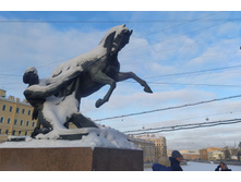 IMG 20260108 130331.jpg