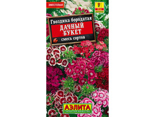 �������� ������ �����, ����� // ������