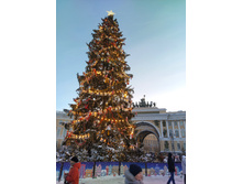 IMG 20260106 153944.jpg