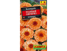 ��������� ������� ������� �������� // ������