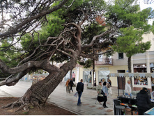 IMG 20251001 154842.jpg