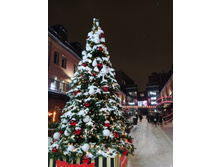 IMG 20260108 183717.jpg