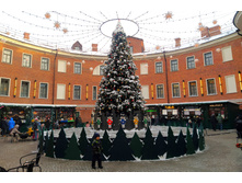 IMG 20260106 133145.jpg