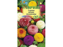 �������� ����� ������� // ������