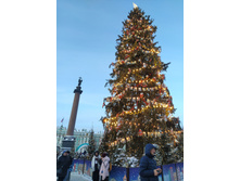 IMG 20260106 154844.jpg