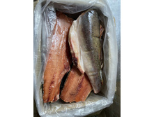 ���� �������