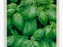 ������� ������ ������� // ������.jpg