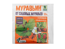 �������� �������� <<���� ����>>, �� ������� ��������, 50 � 63 ���