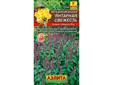 ���� ������������ �������� �������� // ������