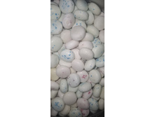 ������ ������ ��������, ��������, �����.jpg