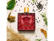 Eros flame � � 100 �� 4100+%+����