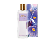 ��������� ���� Women's Collection Charming Violet [������ �������� ������ ������] 46043