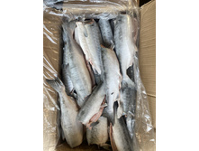 ������� ������ �����!!!������� ��������� ����������� ��� ������!��������