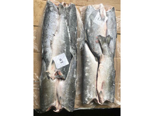 ����� ���������� ��� ������ ������ �����!