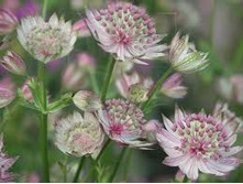 ������ �������