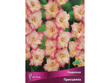 ��������� ���������.png