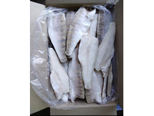 ���� ������ �������