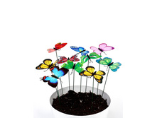 ������ ������� <<������� ������>>, 8x7 ��, h=25 ��, ���� 21 ���