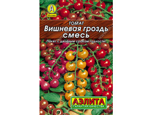 ����� �������� ������, ����� // ������