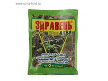 ��������� <<��������-����>>, ��� �������, 10 �� 13 ���