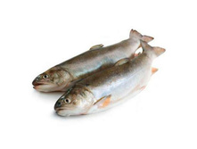 ����� �/�