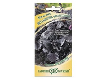 ������� ���������� ���������� // ������.jpg