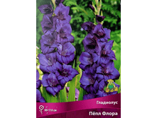 ��������� ���� �����.png