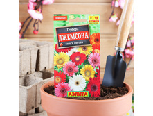 ������ ��������� ������ ������� �������� «����� �������», «��������� ������», 0.04 � - 46,90 ���.