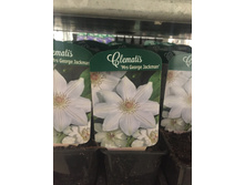 �������� ����,�����,3 ��