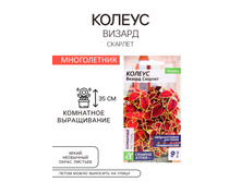 ������ ��������� ������ ������ «������ �������», 5 ��., «������ �����» - 61,25 ���.