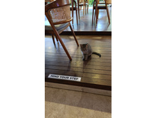 IMG 20260305 064726.jpg