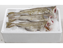 ������ �/� 0,5-1