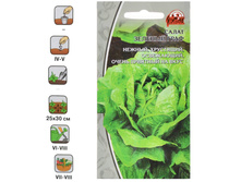 ����� ��̣��� ���� / ���� ���������.jpg