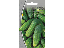 ������ �������� ����������� / ���� ���������.jpg