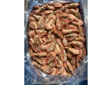 �������� 90+ 1/5 ��������