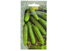 ������ ������� ����������� / ���� ���������.jpg